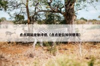 点点网站定制手机（点点定位如何使用）