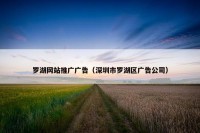 罗湖网站推广广告（深圳市罗湖区广告公司）