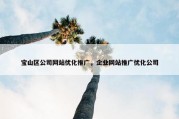 宝山区公司网站优化推广，企业网站推广优化公司