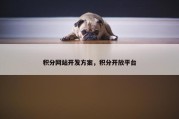 积分网站开发方案，积分开放平台