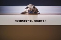 积分网站开发方案，积分开放平台