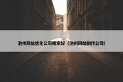 池州网站优化公司哪家好（池州网站制作公司）