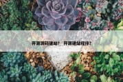 开源源码建站？ 开源建站程序？