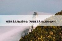 网站开发实践实验教程（网站开发实践实验教程pdf）