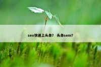 seo快速上头条？ 头条sem？