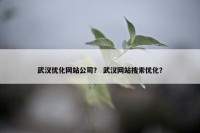 武汉优化网站公司？ 武汉网站搜索优化？
