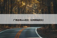 广州达州seo优化（达州网站优化）