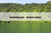 惠州靠谱网站定制？ 惠州制作公司网站？