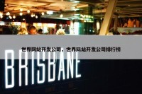 世界网站开发公司，世界网站开发公司排行榜