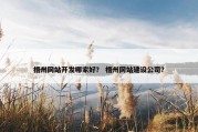 梧州网站开发哪家好？ 梧州网站建设公司？