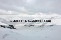 seo标题包含什么（seo标题包含什么内容）