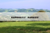 商业网站域名什么？ 商业网站名称？