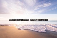 河北自制网站建设设计（河北企业网站制作）