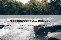 龙华网站建设专家评价公示，龙华网站设计