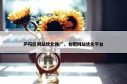 庐阳区网站优化推广，合肥网站优化平台