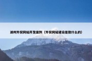 湖州外贸网站开发案例（外贸网站建设是做什么的）