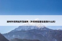 湖州外贸网站开发案例（外贸网站建设是做什么的）