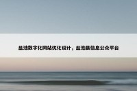 盐池数字化网站优化设计，盐池县信息公众平台