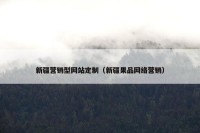 新疆营销型网站定制（新疆果品网络营销）