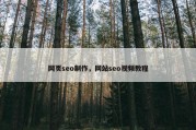 网页seo制作，网站seo视频教程