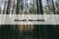 网页seo制作，网站seo视频教程