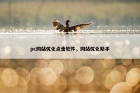 pc网站优化点击软件，网站优化助手