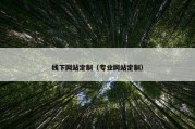 线下网站定制（专业网站定制）