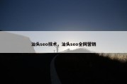 汕头seo技术，汕头seo全网营销