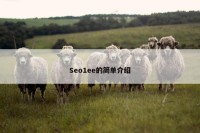 Seo1ee的简单介绍