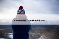 seo业务合作，seo业务前景如何