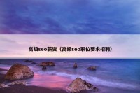 高级seo薪资（高级seo职位要求招聘）