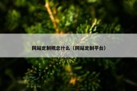 网站定制概念什么（网站定制平台）