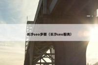 长沙seo步骤（长沙seo服务）