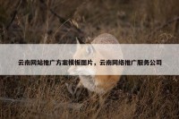 云南网站推广方案模板图片，云南网络推广服务公司