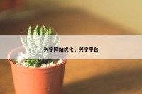 兴宁网站优化，兴宁平台