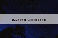 学seo职业规划（seo职业前景怎么样）