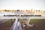 营口大型网站制作公司，营口大型网站制作公司有哪些