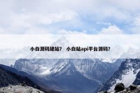 小白源码建站？ 小白站api平台源码？