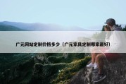 广元网站定制价格多少（广元家具定制哪家最好）