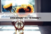 吉林出名网站推广优化（吉林网络推广）