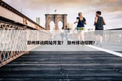 邳州移动网站开发？ 邳州移动招聘？