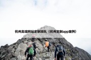 杭州高端网站定制团队（杭州定制app案例）