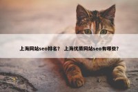 上海网站seo排名？ 上海优质网站seo有哪些？