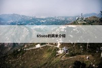 65seo的简单介绍