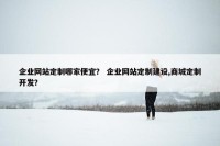 企业网站定制哪家便宜？ 企业网站定制建设,商城定制开发？