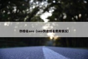 秒排名seo（seo快速排名费用情况）