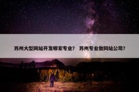 苏州大型网站开发哪家专业？ 苏州专业做网站公司？