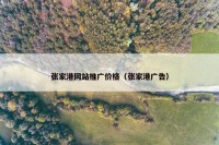 张家港网站推广价格（张家港广告）