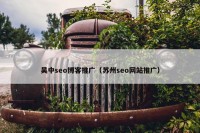 吴中seo博客推广（苏州seo网站推广）