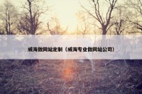 威海做网站定制（威海专业做网站公司）